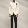 Trendy men's two piece suit