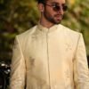 Trendy embroidery sherwani online